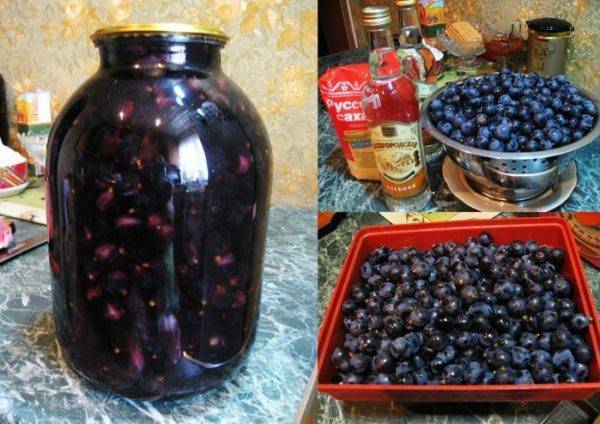 Настойка на смородине на спирту - рецепт из свежей и замороженной ягоды