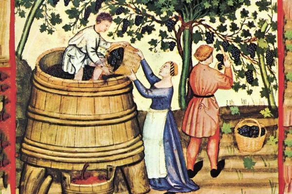 История вина и виноделия – появление и важные этапы развития