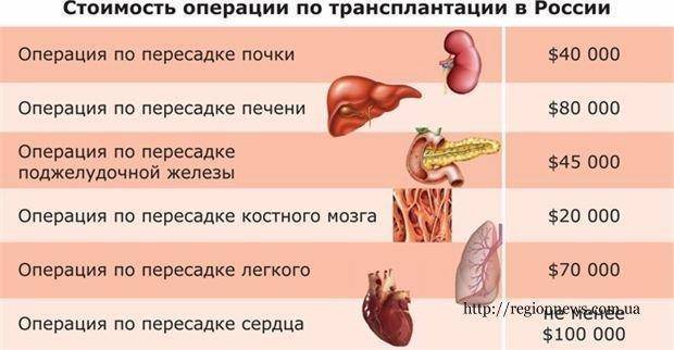 Где можно почку. Сколько стоит почка. Сколько стоит почка человека. Сколько стоит человеческая почка.