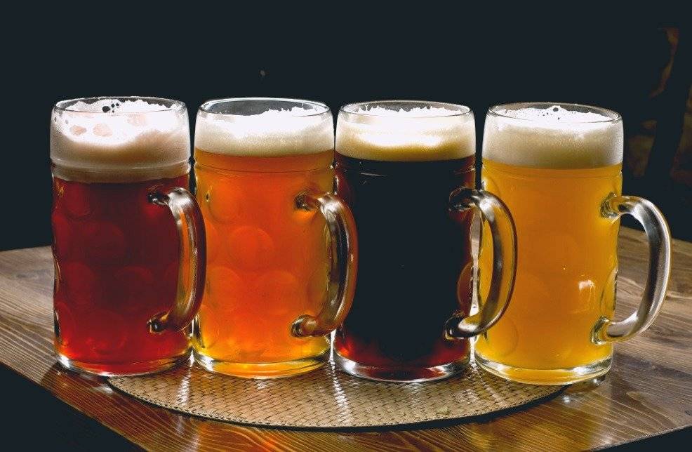 Чем отличается пиво от пивного напитка: состав и лучшие бренды