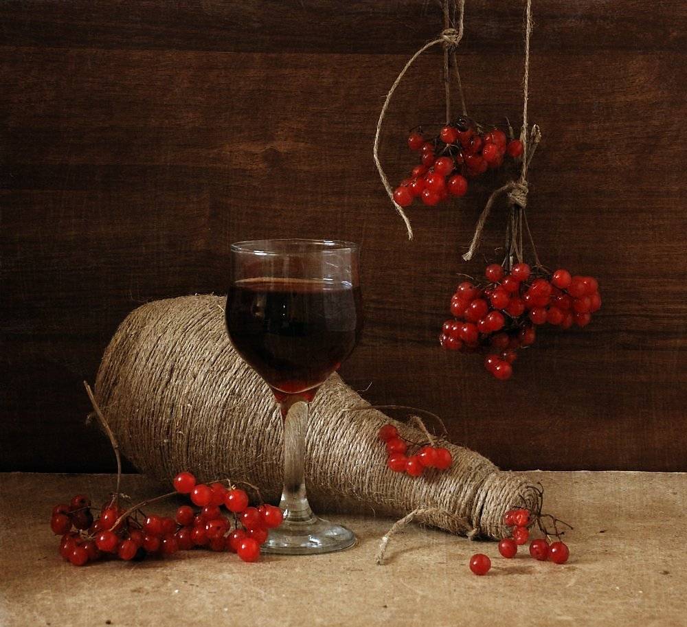 5 лучших пошаговых рецептов приготовления вина из красной рябины в домашних условиях и 12 полезных свойств ягоды