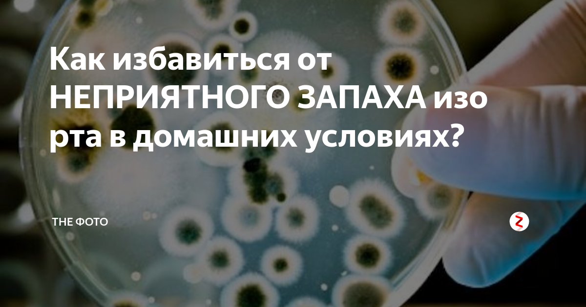 Как избавиться от неприятного запаха изо. Средство от избавления запаха изо рта. Неприятный запах изо рта препараты. Препараты избавляющие от неприятного запаха изо рта. Таблетки для желудка от запаха изо рта.