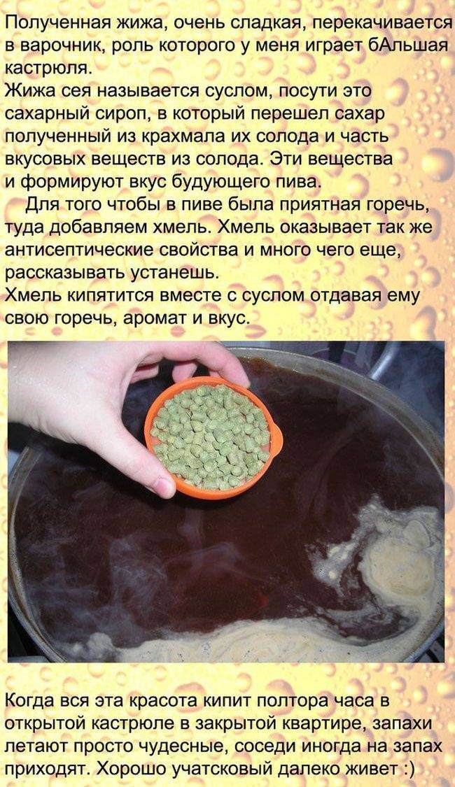 Как готовить пиво в домашних условиях рецепты с фото пошагово