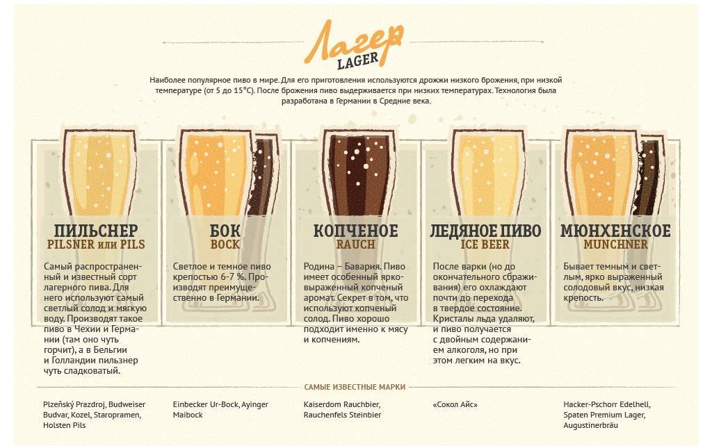 Виды безалкогольного пива – описание и обзор 25-ти популярных марок
