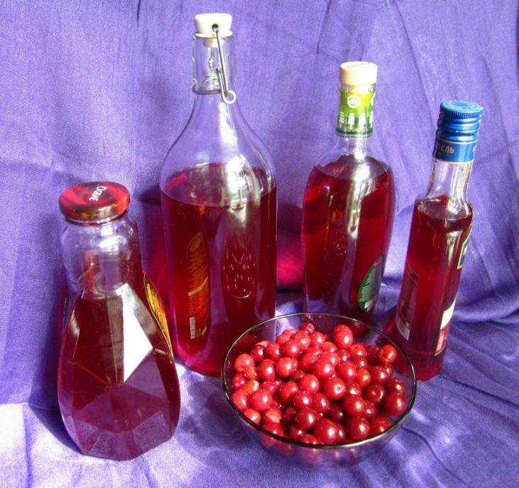 Вкуснейшая смородиновая настойка на водке – черная жемчужина вашей коллекции