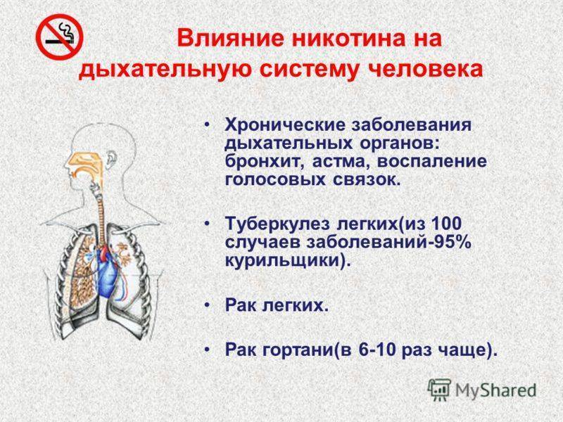 Влияние никотина на здоровье человека проект