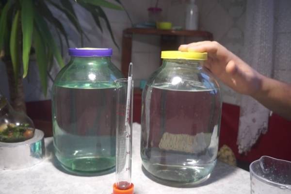 Очистка самогона от сивушных масел: как очистить в домашних условиях от запаха - основные способы