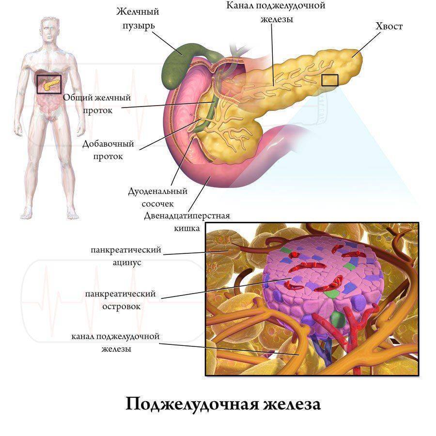 Можно ли алкоголь при панкреатите и в каком количестве?