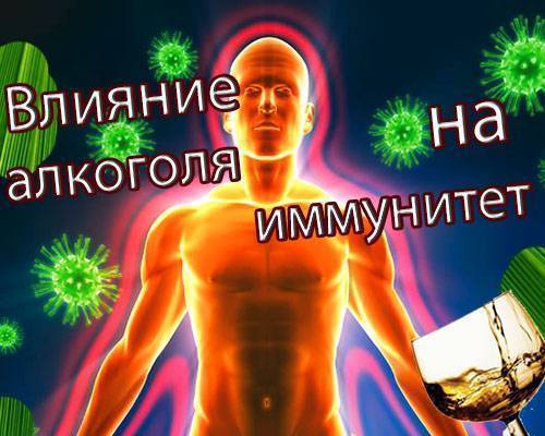 Алкоголь и иммунитет: как влияет, снижает или повышает | infeksiya.ru