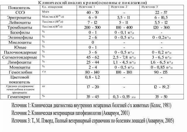 Презентация анализ крови