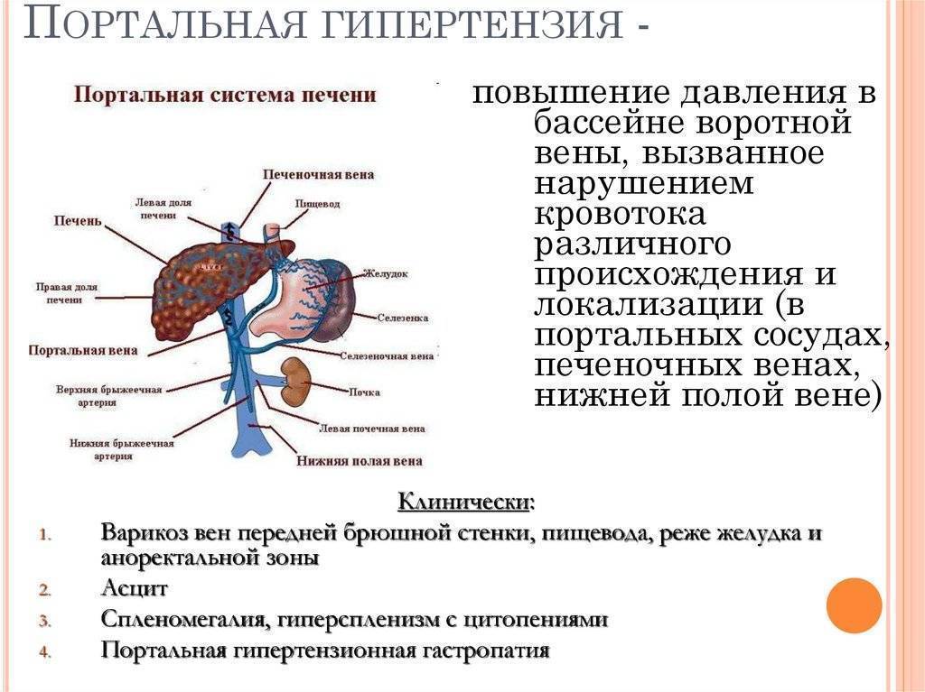 Усиление сосудистого портального рисунка печени