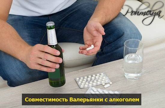 Валериана и алкоголь совместимость