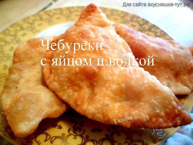 Вкусные чебуреки с мясом в домашних условиях хрустящие с пузырьками рецепт пошаговый с фото