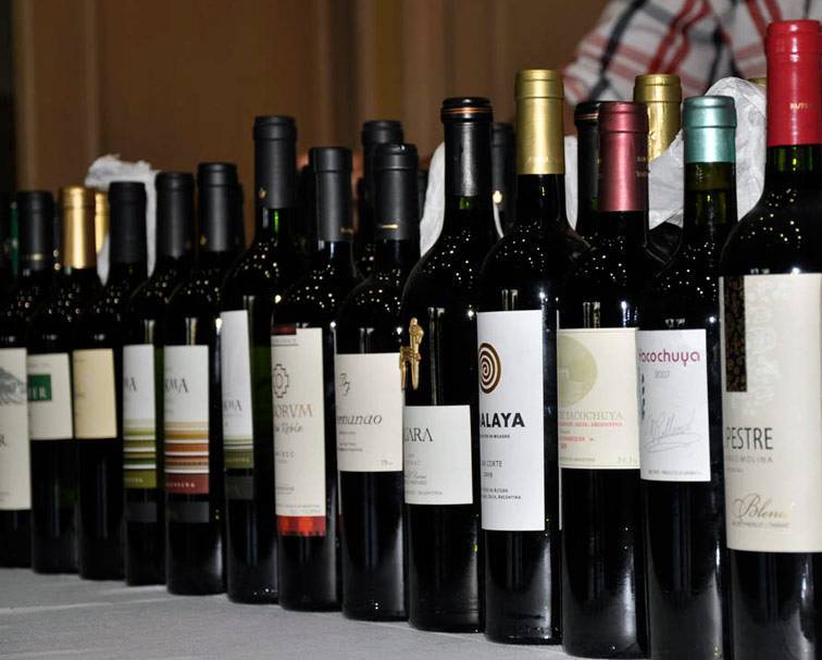 Аргентинские вина недаром считаются одними из лучших в мире и их высокое качество признано многими сомелье | latintour.ru