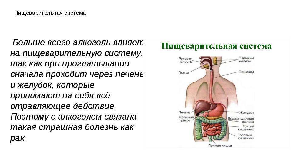 Анализы пищеварительной системы