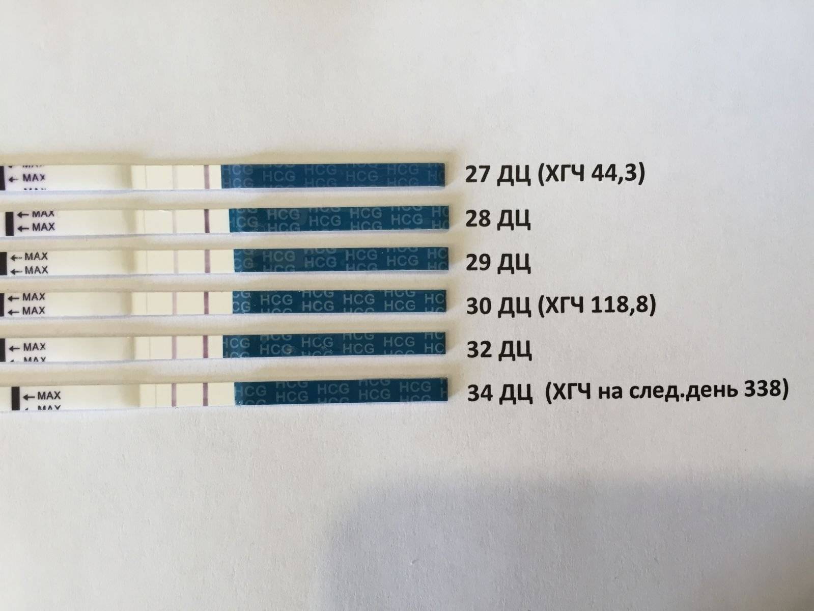 Какую беременность показывает хгч. Тест на ХГЧ. ХГЧ тест на беременность. Динамика тестов на беременность. Динамика тестов на беременность и ХГЧ.