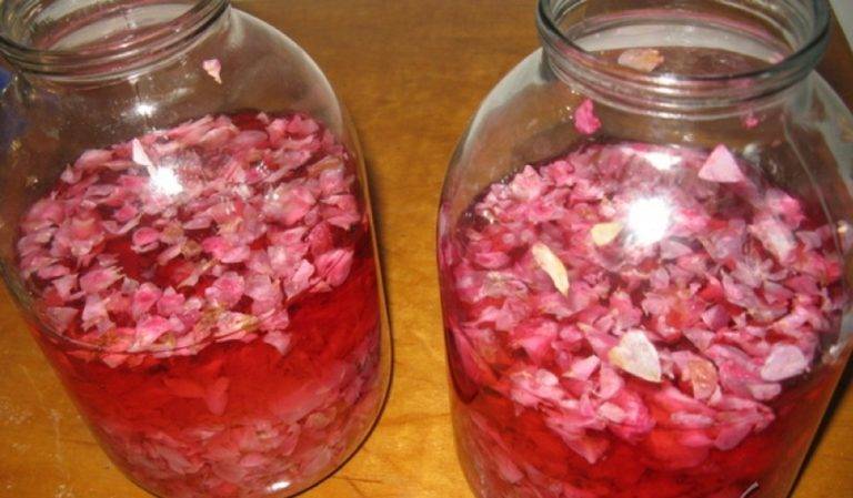 Делаем настойку из лепестков роз на водке