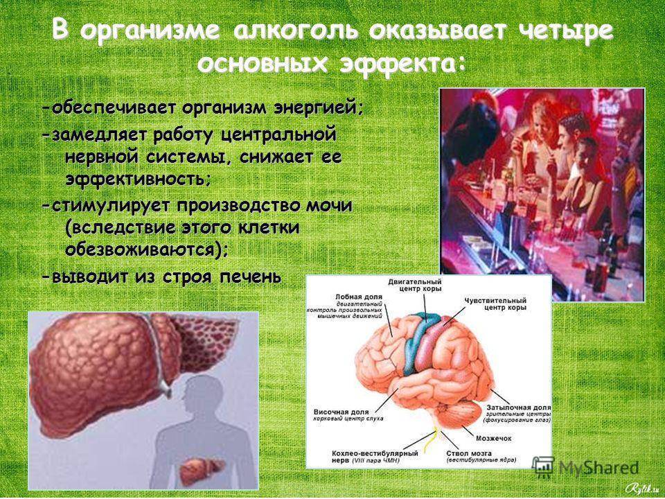 Вред алкоголя схема