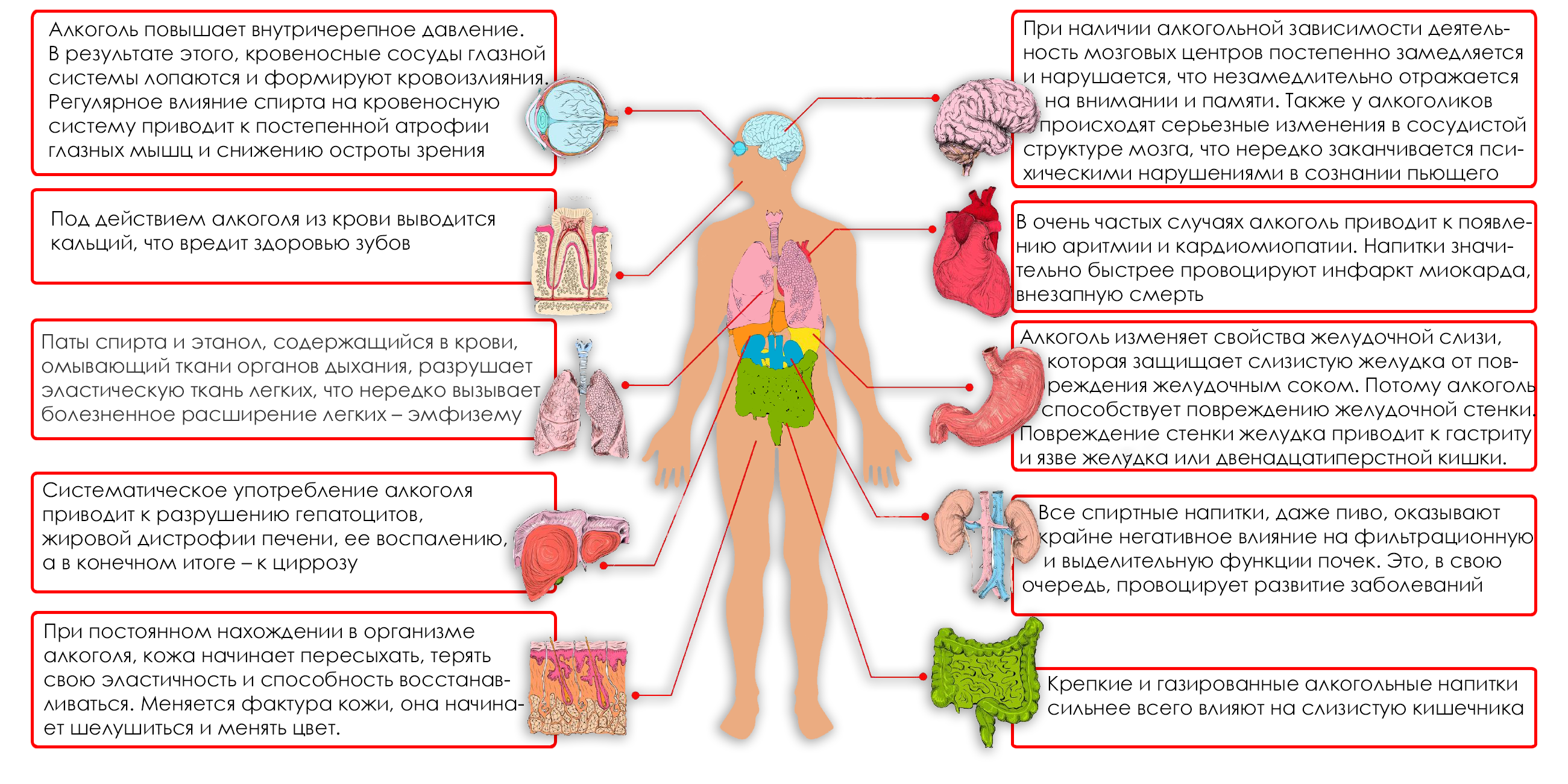 Алкогольные эффекты