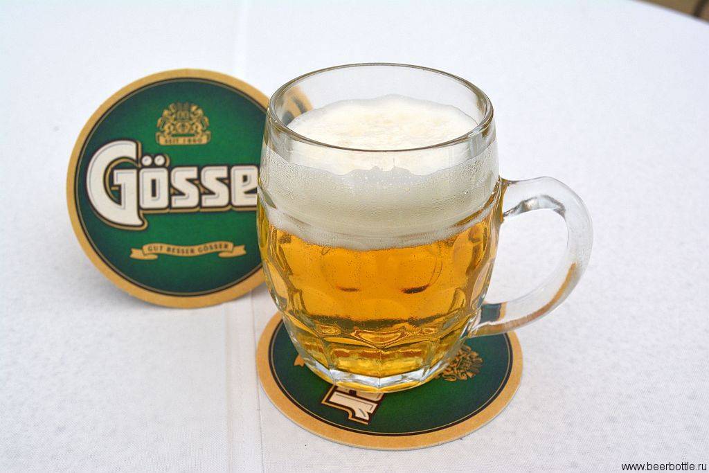 Пиво гессер (gosser): особенности и марки