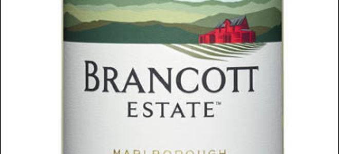 Виды вина: campo viejo, brancott estate, jacob’s creek