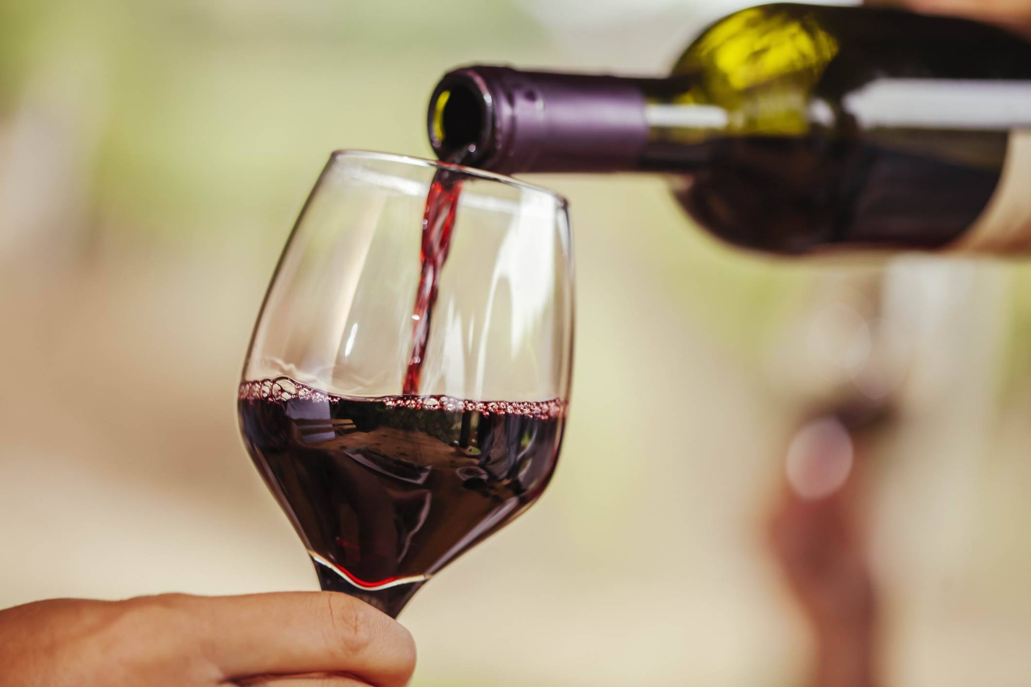 Белое вино: польза и вред для здоровья