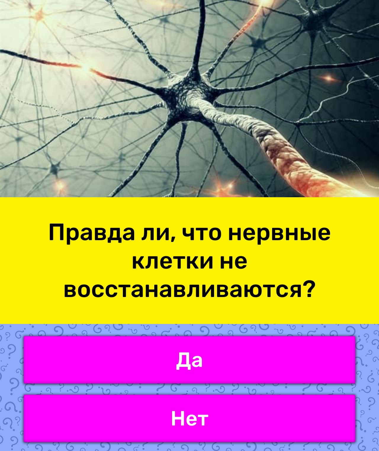 Восстановление нейронов головного мозга