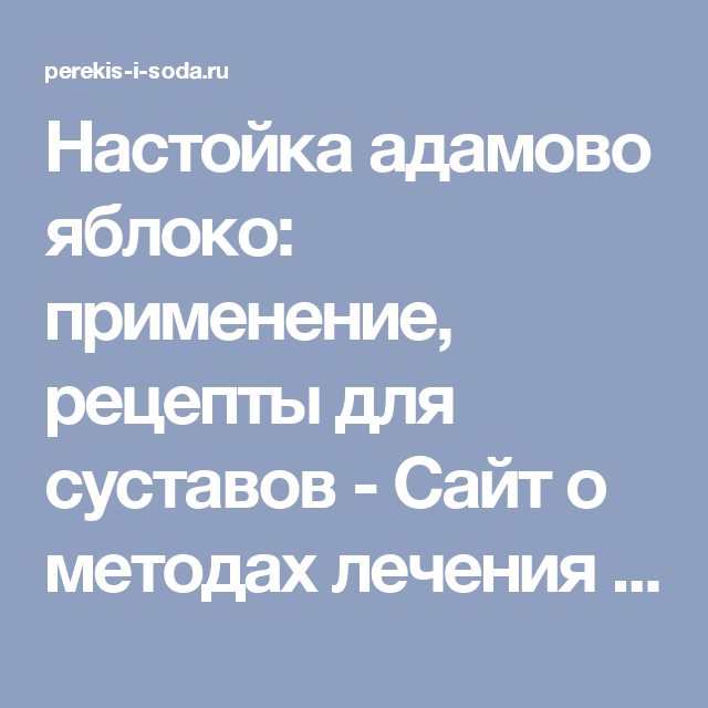 Адамово яблоко настойка отзывы. Адамово яблоко применение настойки. Адамово яблоко настойка для суставов. Адамово яблоко настойка для суставов рецепт.