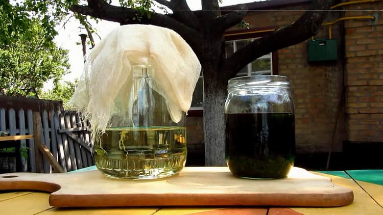 Рецепт абсента в домашних условиях из самогона. почему абсент зеленый? как пить абсент