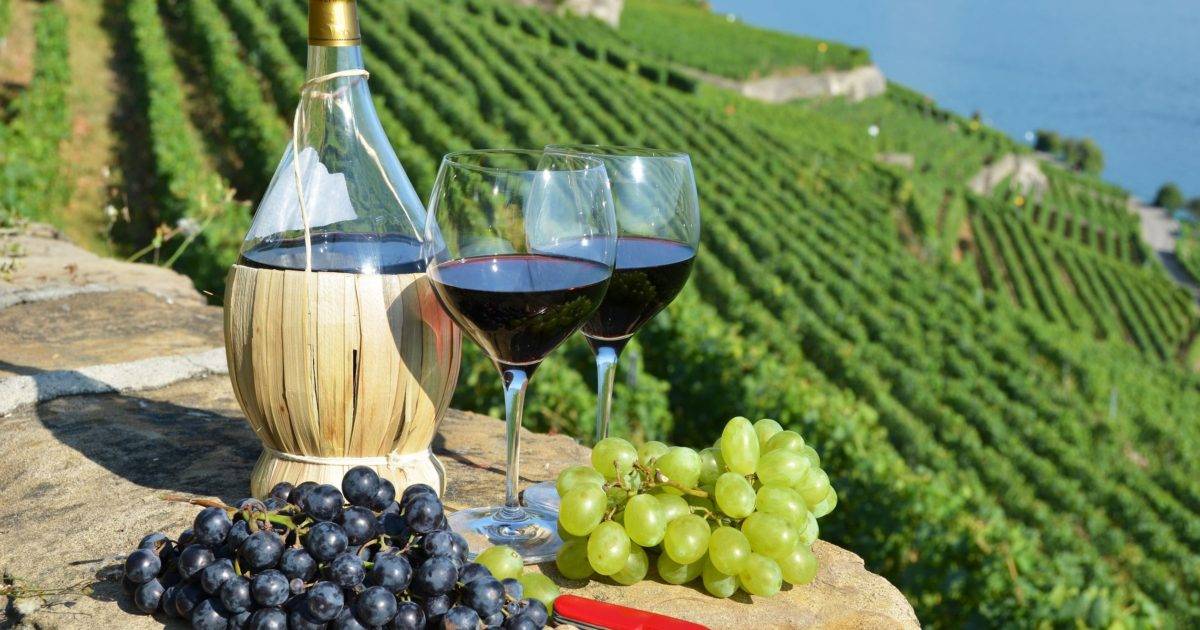 Виноделие в италии — википедия с видео // wiki 2