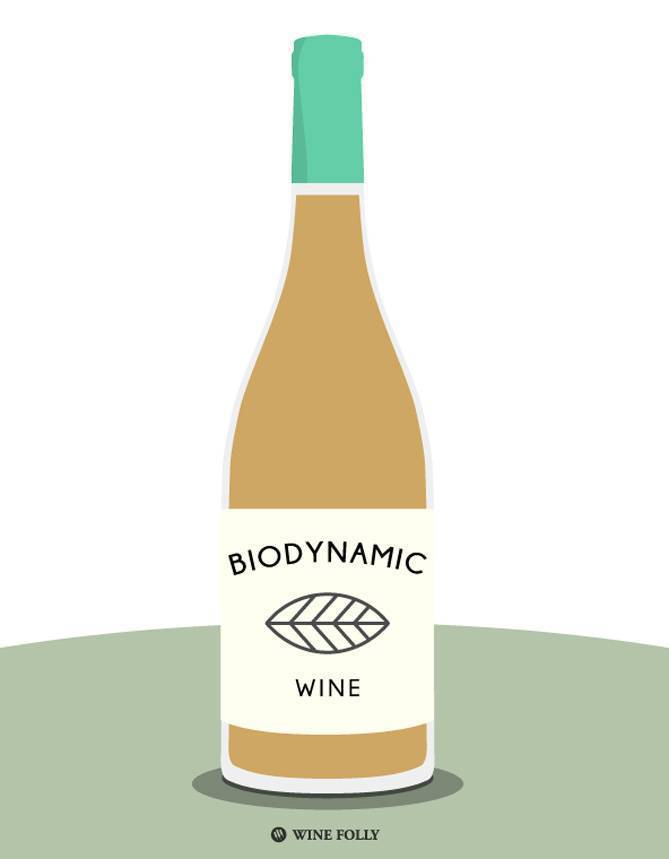 Биодинамика в виноградарстве и виноделии