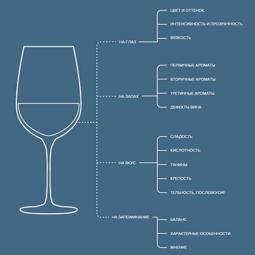 Виноград «мальбек»: характеристика и описание сорта, достоинства и недостатки, применение в виноделии, фото