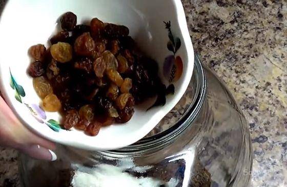 Квас из березового сока с изюмом - рецепты с сухофруктами, сахаром, медом иячменем. как приготовить, хранить и чем полезен квас из березового сока с изюмом?
