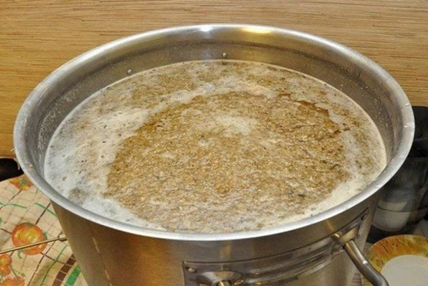 Как готовить брагу из пшеницы для самогона? правильные пропорции и простые рецепты постановки
