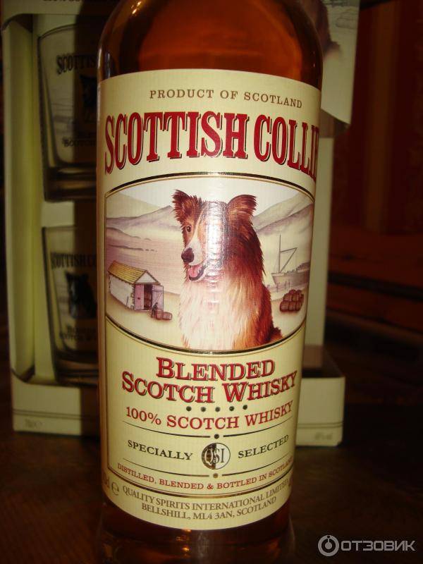 Виски scottish collie (скоттиш колли): описание и виды марки