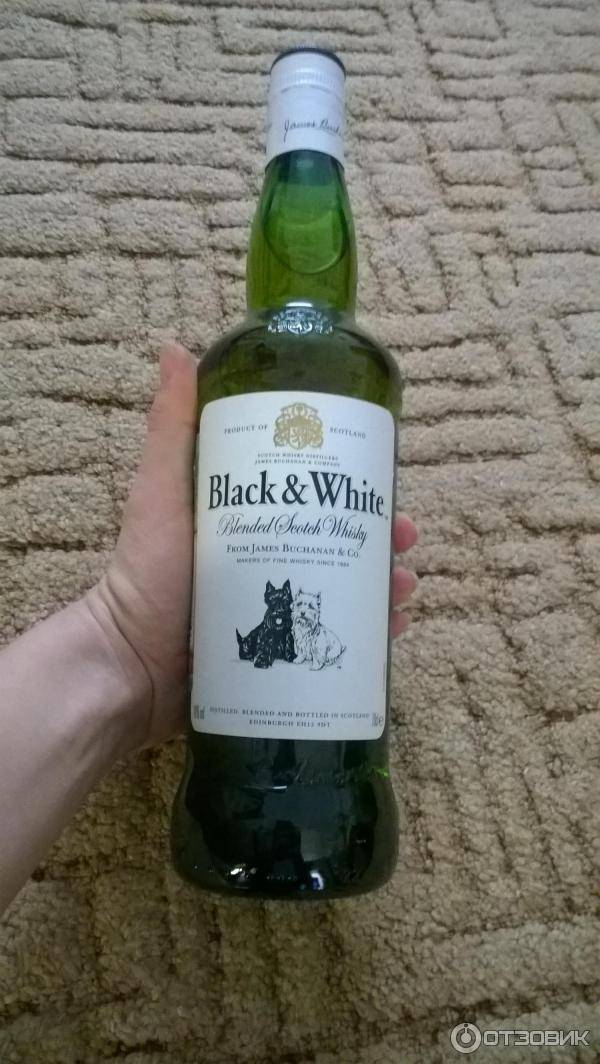 Блэк энд вайт: особенности виски black white whisky, производитель черного и белого, как отличить от подделки, цена, правила употребления