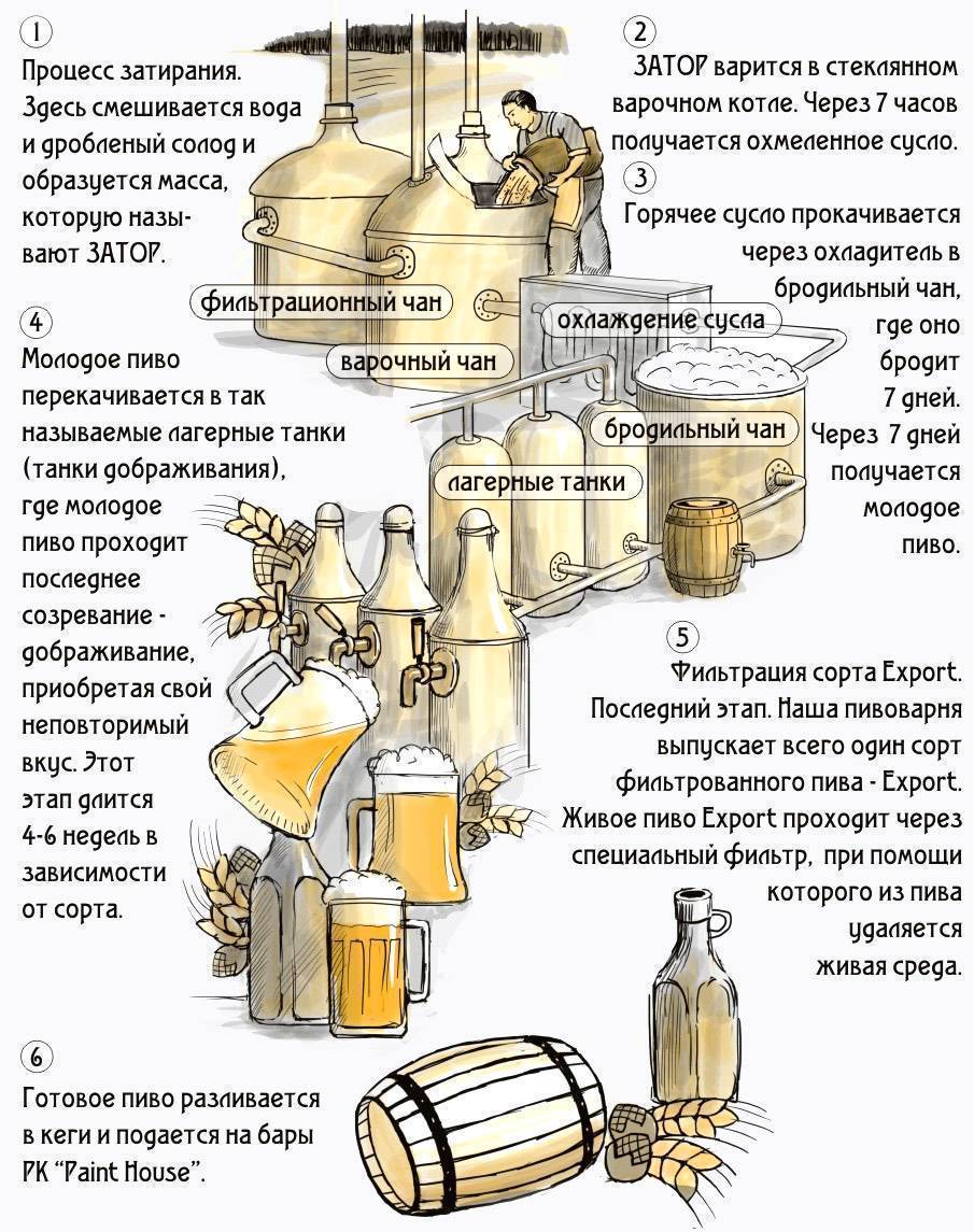 Правильное пиво крафт теория пошаговый процесс