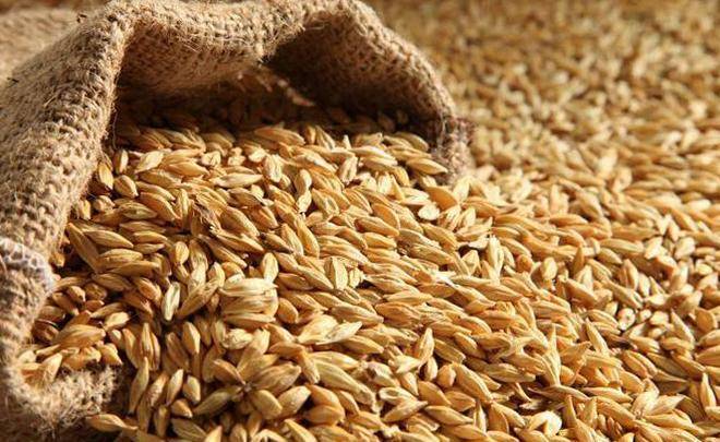 Самогон из пшеницы - рецепт зерновой браги на пшенице в домашних условиях