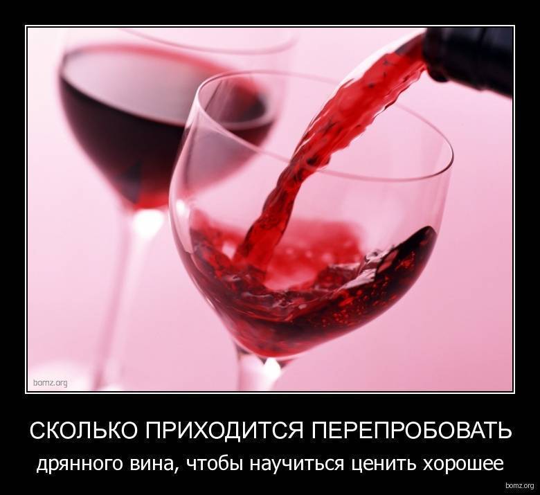 Какое вино предпочитают девушки и как его правильно выбирать