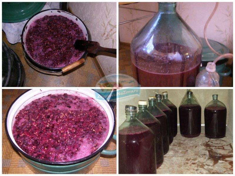 Как сделать вино из ягод в домашних условиях самостоятельно