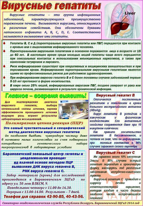 Профилактика вирусного гепатита а презентация