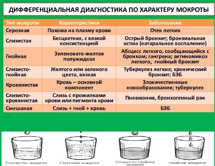 Легкие отхождение мокроты