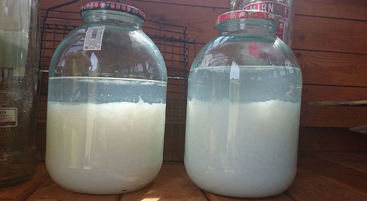 Очистка самогона молоком: рецепты очищения алкогольного напитка в домашних условиях