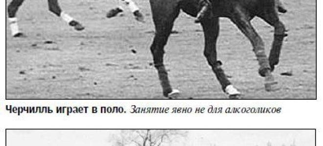 «это все придумал черчилль…» – легенда о 50-градусном коньяке «двин»
