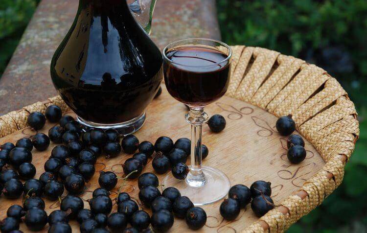 Как приготовить вино из черники в домашних условиях
