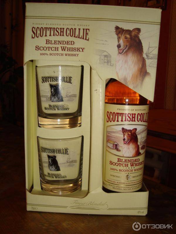 Виски scottish collie: цена, отзыв, описание и где купить