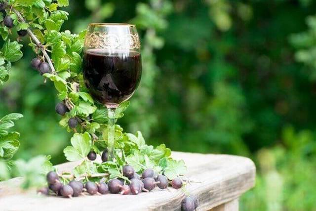 Вино из крыжовника в домашних условиях - 4 лучших рецепта
