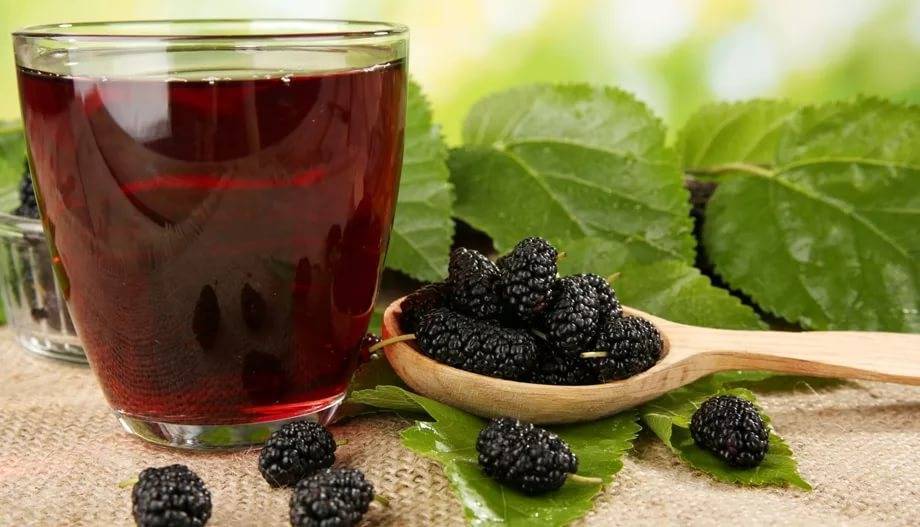 Сок виноградной лозы: полезные свойства, показания и противопоказания, особенности приготовления - желудок