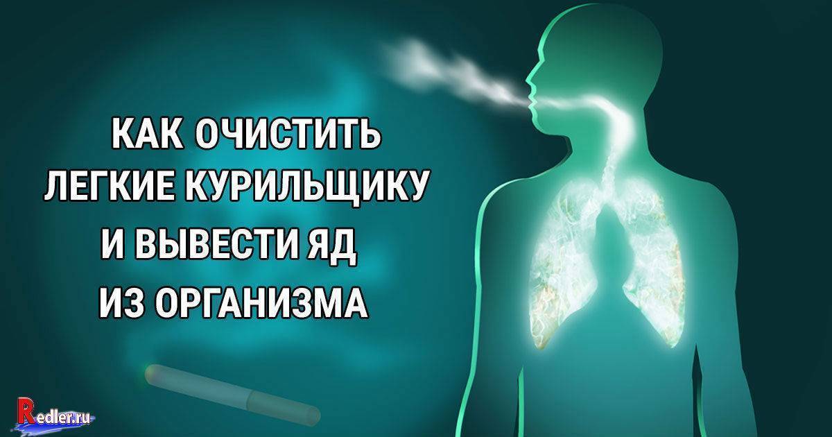 Сколько никотин держится в крови? влияние никотина и особенности очищения организма