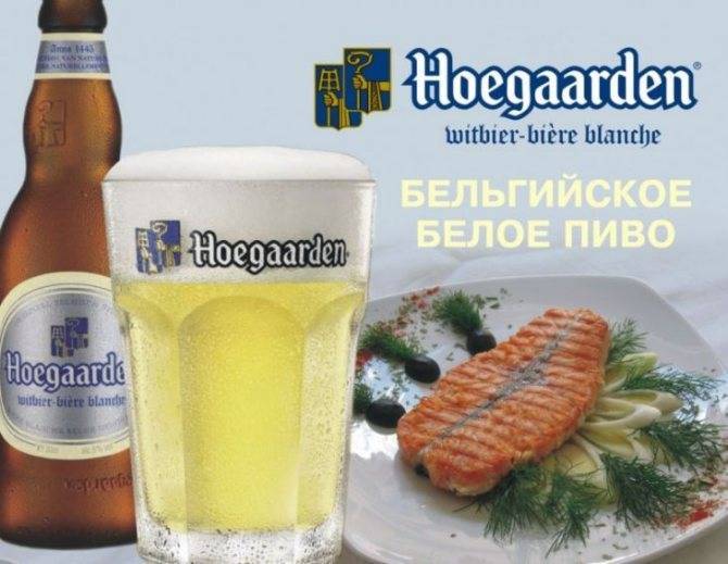 Пиво hoegaarden («хугарден») - обзор пива и его основных характеристик (видео 125 фото)